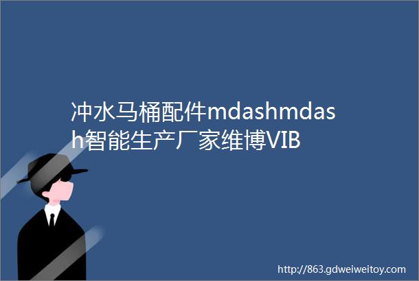 冲水马桶配件mdashmdash智能生产厂家维博VIB